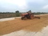 FCOP_Rice_Mill_002